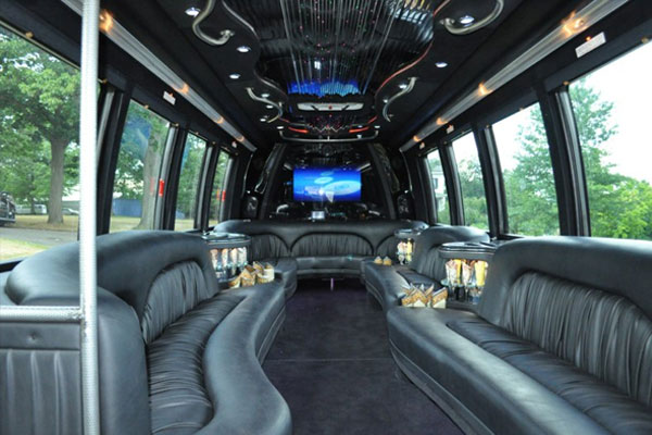 30 Passengers Party Bus