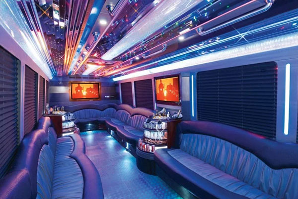 30 Passengers Party Bus