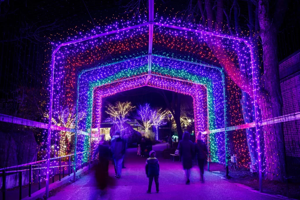 Chicago Party Bus Holiday Lights Tour