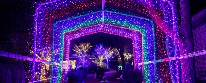 Chicago Party Bus Holiday Lights Tour