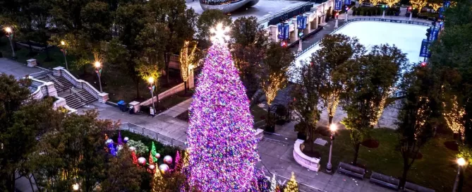 chicago christmas lights tour