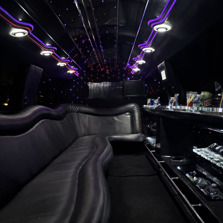 Sleek Interior of Party Bus in Chicago for 35 passengers