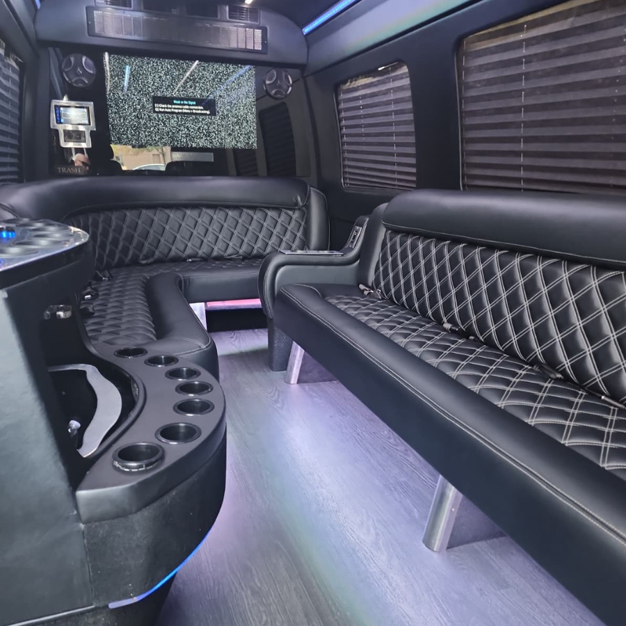 Sprinter Van Rental Interior featuring leather seating